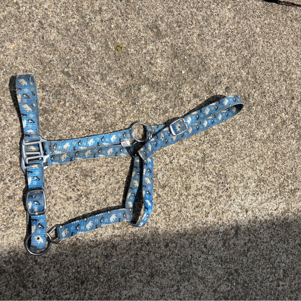 Star Point Horsemanship Polar friends halter (size horse)